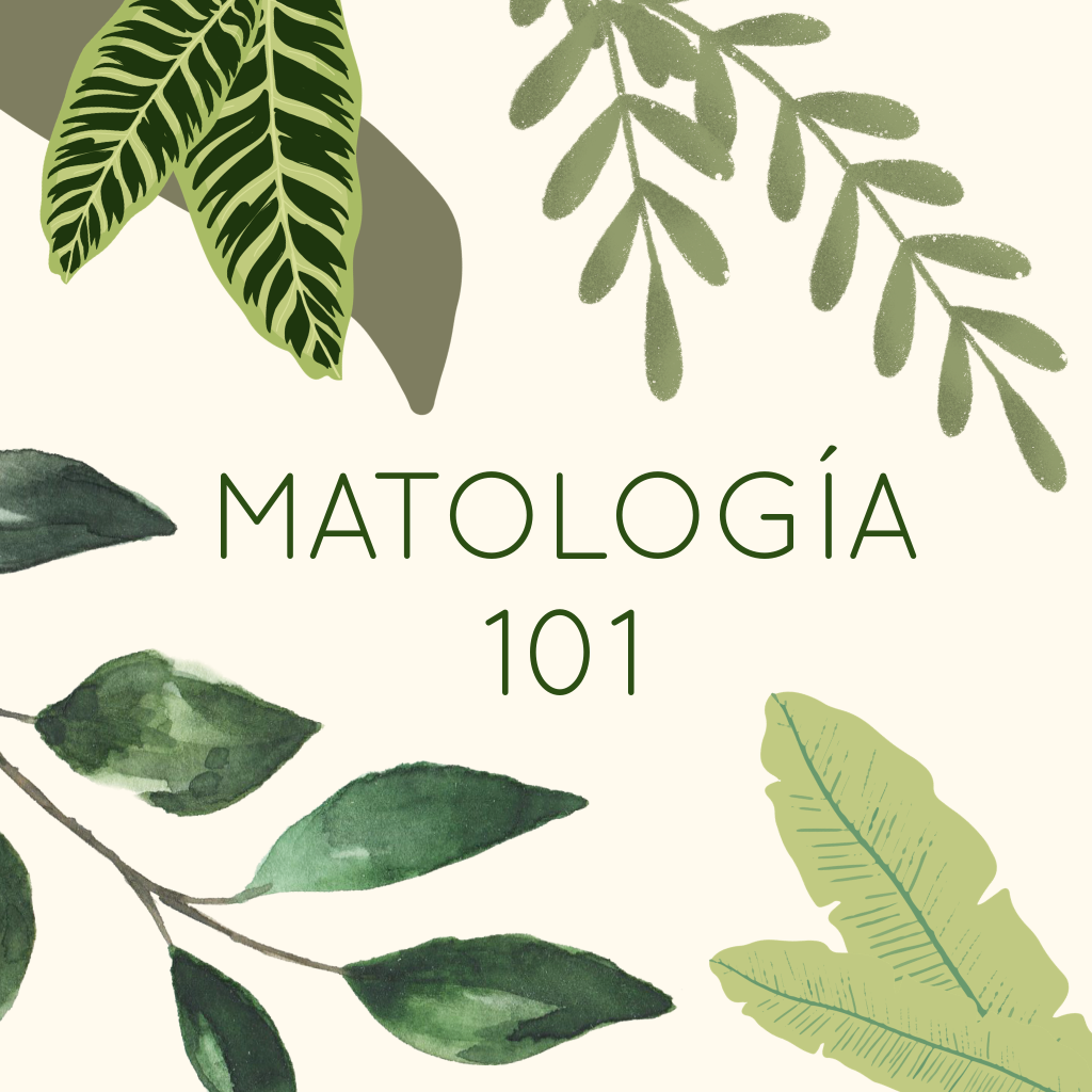 Matología101